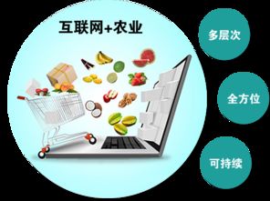 農產品觸網 互聯網時代，誰是下一個超級代言人？